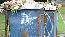Фото с сайта www.kurer-sreda.ru
