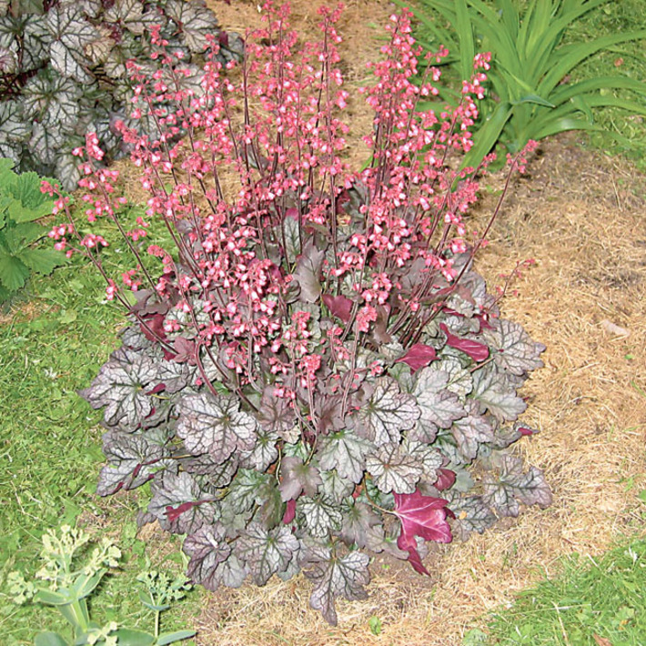 Фото с сайта super-sad.info