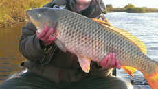 Фото предоставлено Максимом МИХЛЕЕВЫМ