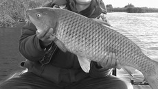 Фото предоставлено Максимом МИХЛЕЕВЫМ