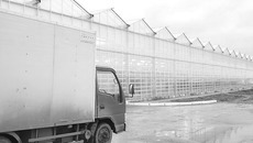 С досветкой день длиннее. Фото Михаила ПЕРМИНА