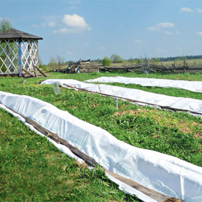 Фото с сайта www.supersadovnik.ru