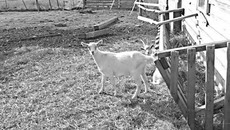 Фото прислано Ольгой ИВАНОВОЙ