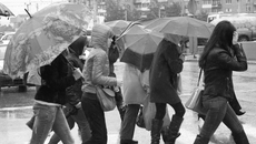 Фото Михаила ПЕРМИНА