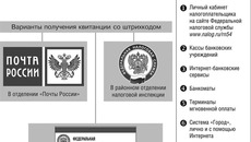 Инфографика Михаила ЗАБУГИ