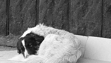 Фото с сайта samarskie-roditeli.ru