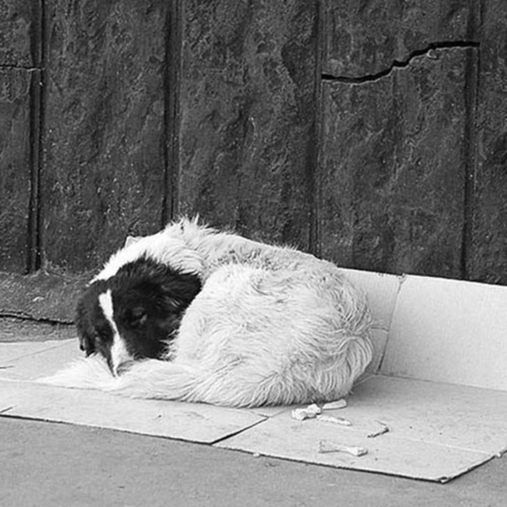 Фото с сайта samarskie-roditeli.ru