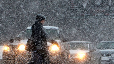 Фото с сайта www.profi-forex.org