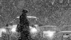 Фото с сайта www.profi-forex.org