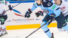 Фото с сайта www.hcsibir.ru