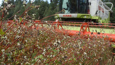 Фото с сайта ivsekommentarii.com