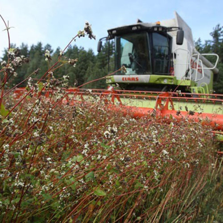 Фото с сайта ivsekommentarii.com