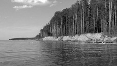 Фото с сайта vishime.ru