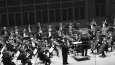 Одно из главных действующих лиц фестиваля — филармонический симфонический оркестр. Фото Михаила ПЕРМИНА