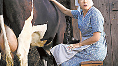 Фото с сайта www.filmpro.ru