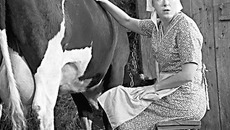 Фото с сайта www.filmpro.ru