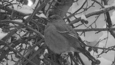 Фото Игоря ВОЛОШИНА