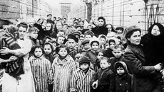 27 января 70 лет назад были освобождены узники Освенцима. Фото с сайта waralbum.ru