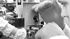 В лаборатории нанодиагностики и нанолитографии Института физики полупроводников им. А.В. Ржанова. За экспериментом наблюдает  аспирант Сергей Ситников. Фото с сайта www.sbras.info