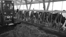 Основные отрасли новосибирской экономики работают стабильно. Фото Аркадия УВАРОВА