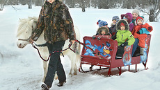 Эти маленькие лошадки — призеры Первого сибирского чемпионата пони, прошедшего в Новосибирске в прошлом году. Фото из личного архива Ольги СЕРОВОЙ