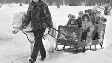 Эти маленькие лошадки — призеры Первого сибирского чемпионата пони, прошедшего в Новосибирске в прошлом году. Фото из личного архива Ольги СЕРОВОЙ