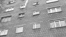 Фото Марины ЛИСИЧКИНОЙ