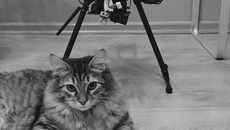 Фото предоставлены Марией Лаврентьевой