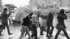 Фото Михаила ПЕРМИНА