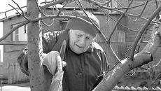 В саду Зинаиде Кайгородовой не до отдыха. Фото Аркадия УВАРОВА
