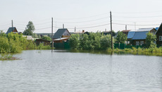 Фото Аркадия УВАРОВА