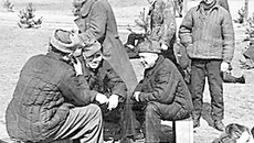 Немецкие военнопленные возвращаются домой, апрель 1949 года. Фото с сайта argumentua.ru