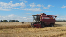 Предприятия промышленности и сельского хозяйства Искитимского района ежегодно производят продукции на сумму 25,5 миллиарда рублей

