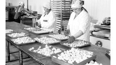 В цехе ООО «СибСэвиджАгро». Пельмени с конвейера мясокомбината «Чистоозёрный» сходят отменные и с самой что ни на есть натуральной начинкой. Фото Натальи МАНТОРОВОЙ