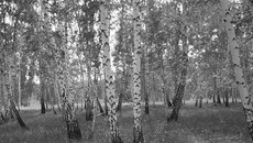 Фото с сайта putnik.nhorob.ru