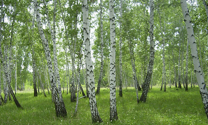 Фото с сайта putnik.nhorob.ru