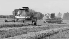 Фото Аркадия УВАРОВА