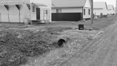 Фото с сайта onf.ru