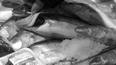 Фото Аркадия УВАРОВА 