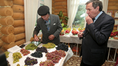 Фото Михаила ПЕРМИНА