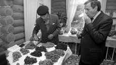 Фото Михаила ПЕРМИНА