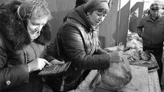 Бойкая торговля рыбой на Новопокровской ярмарке в Чанах осенью 2014 года. Фото предоставлено департаментом природных ресурсов