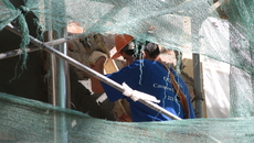 Фото Михаила ПЕРМИНА