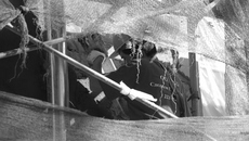 Фото Михаила ПЕРМИНА