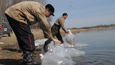 Фото Михаила ПЕРМИНА