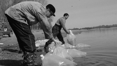 Фото Михаила ПЕРМИНА