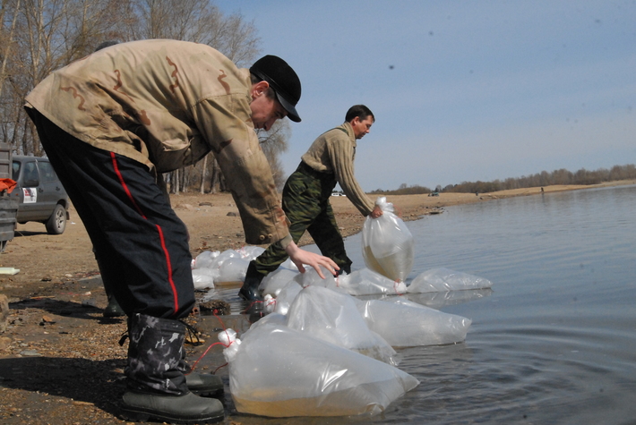 Фото Михаила ПЕРМИНА