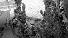 Фото Михаила ПЕРМИНА