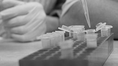 Фото с сайта krasnoturinsk.info