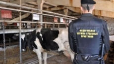 Фото пресс-службы УФССП по НСО